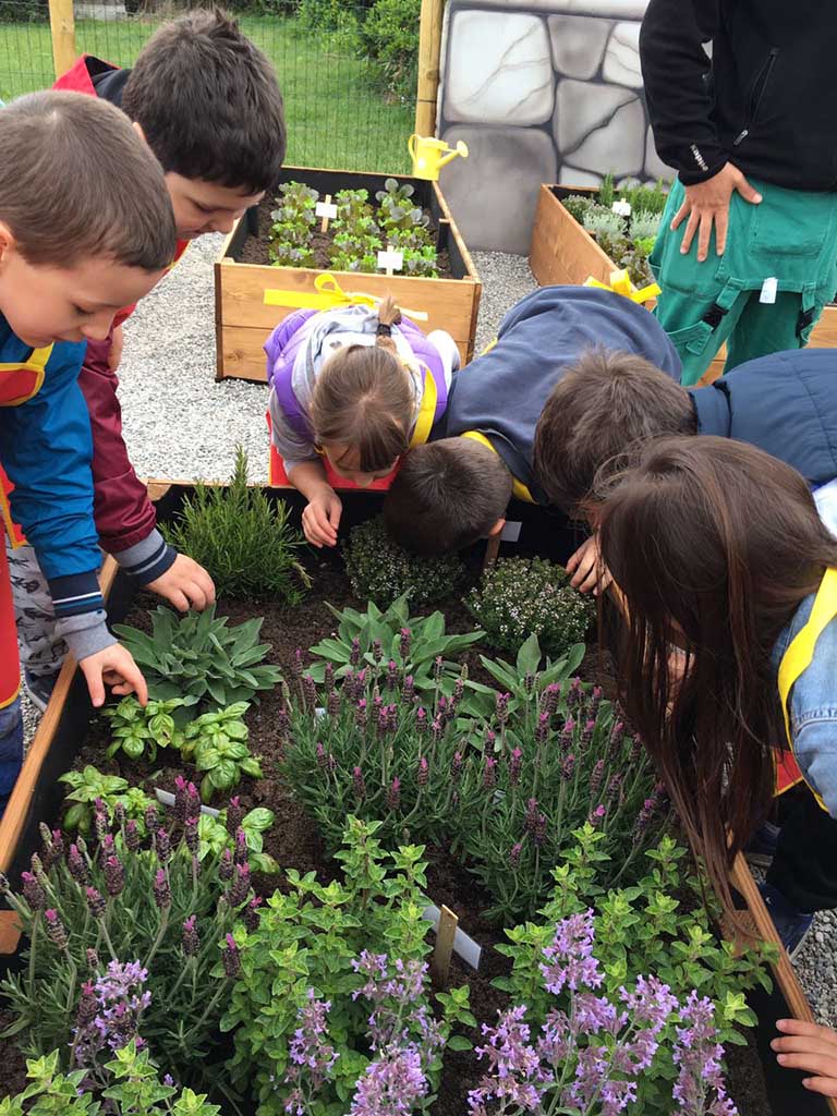 Green & School Un evento per la terra e i suoi frutti