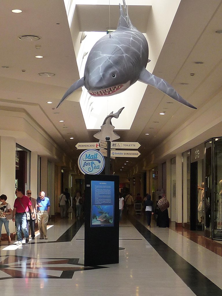 Mall for Sea Alla Scoperta dell’Ecosistema Marino